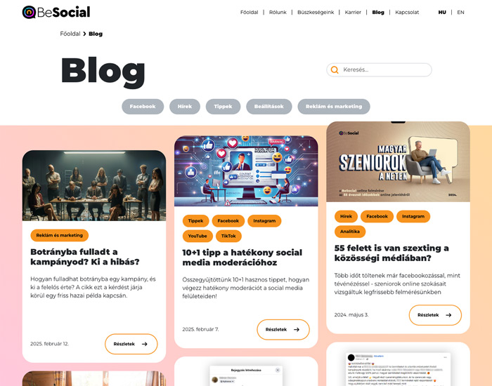 Website's Blog section in desktop view