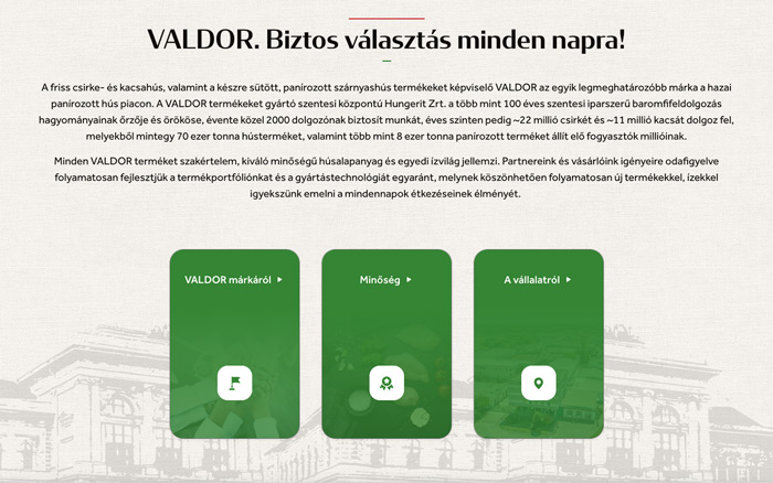 Valdor Website's Featured section in desktop view